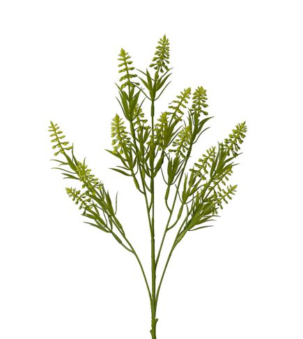 New ProductWheat Spray 67cm