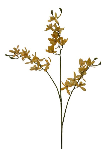 Butterfly Orchid Spray 72cm