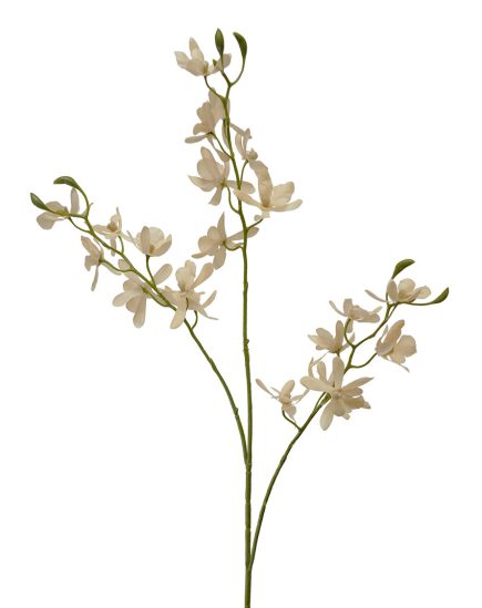 Butterfly Orchid Spray 72cm