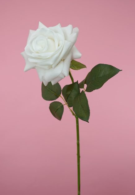 RT Full Rose Stem 69cm