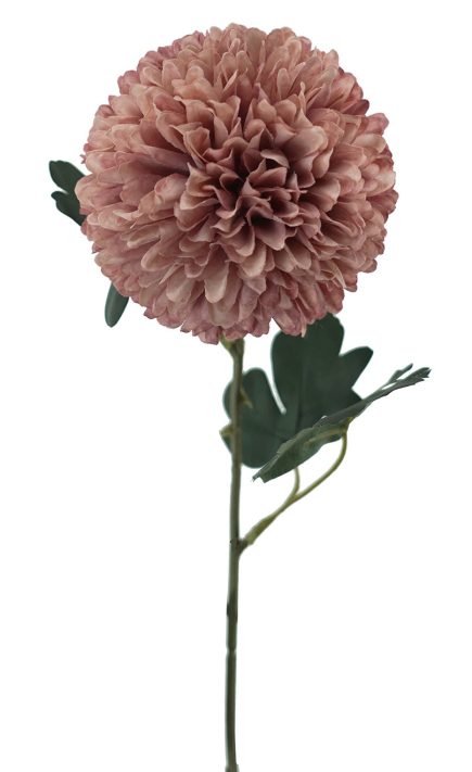 Pompom Stem 56cm