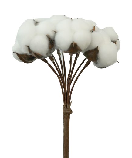 Cotton Bouquet 40cm