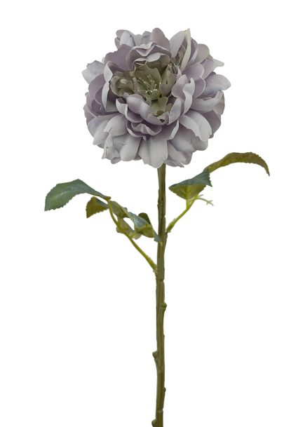 Peony Stem 60cm