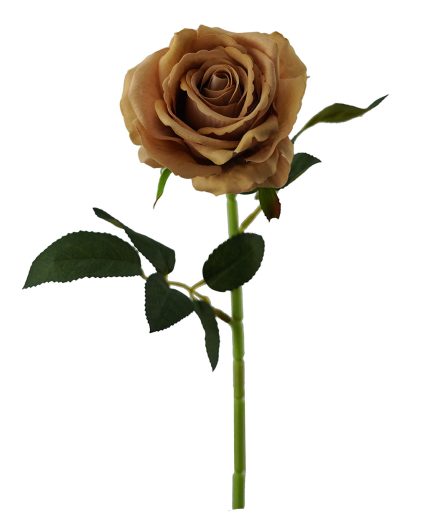 Velvet Rose 11L/54cm