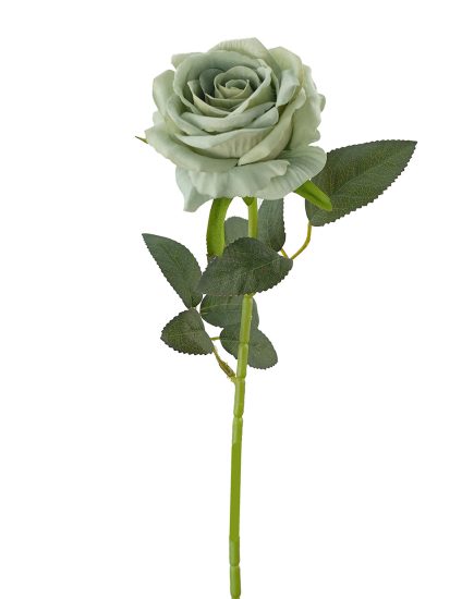 Velvet Rose 11L/54cm