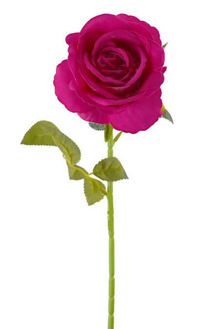 Velvet Rose 11L/54cm