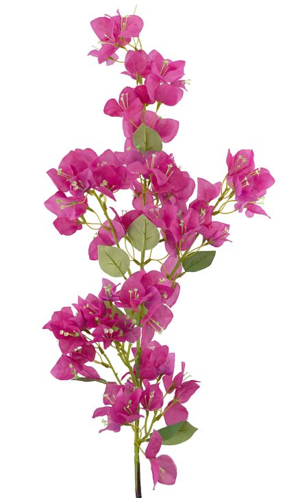 Bougainvillea Spray 118cm