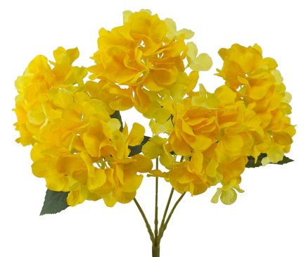 5H Hydrangea Bush 45cm