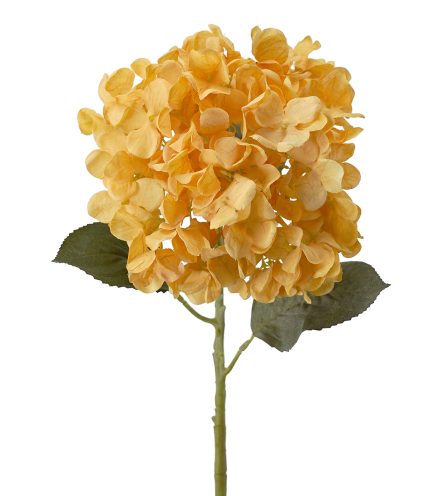 Hydrangea Stem 59cm