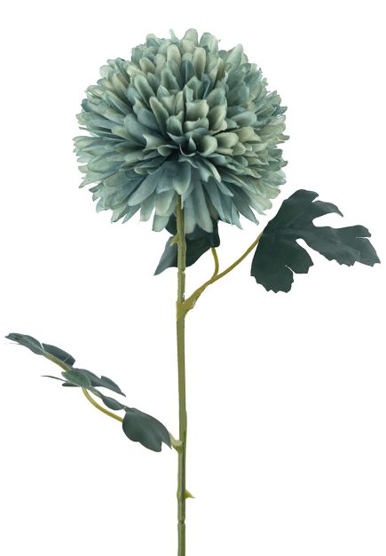 Pompom Stem 56cm