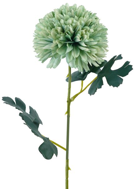 Pompom Stem 56cm