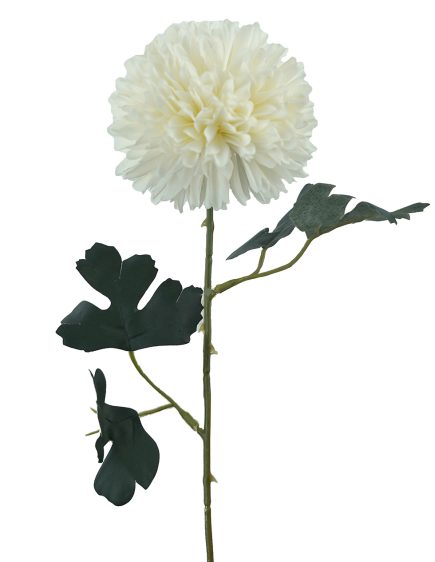 Pompom Stem 56cm