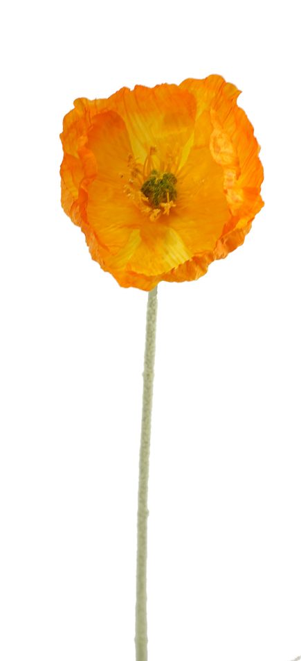 Poppy Stem 58cm