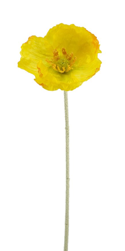 Poppy Stem 58cm