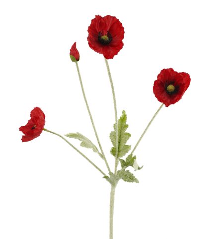 4H Poppy Stem 60CM