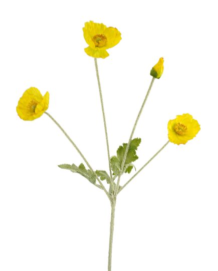 4H Poppy Stem 60CM