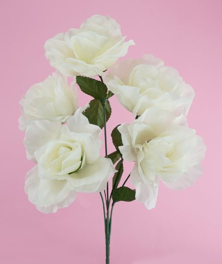 Iceberg Rose Bush 39cm