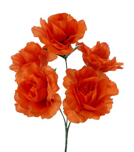 Iceberg Rose Bush 39cm