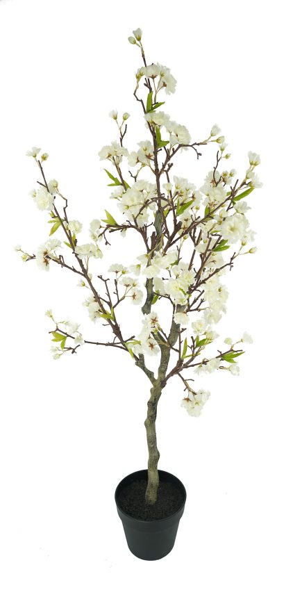 Potted Cherry Blossom 125cm