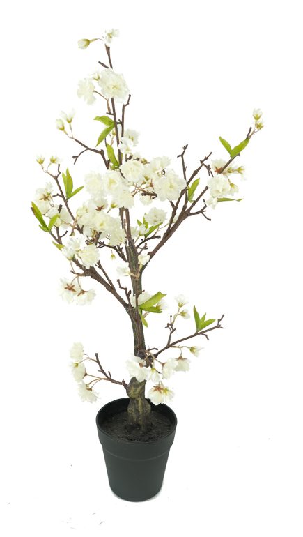 Potted Cherry Blossom 80cm