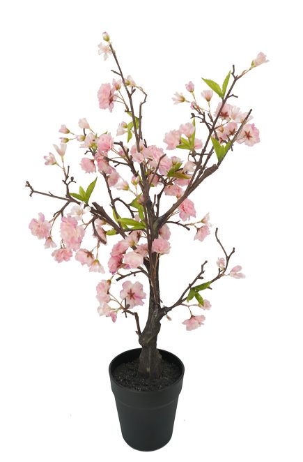 Potted Cherry Blossom 80cm