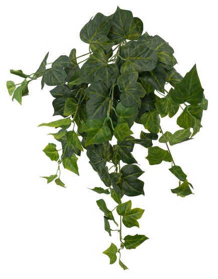 Vine Hanging Bush 60cm