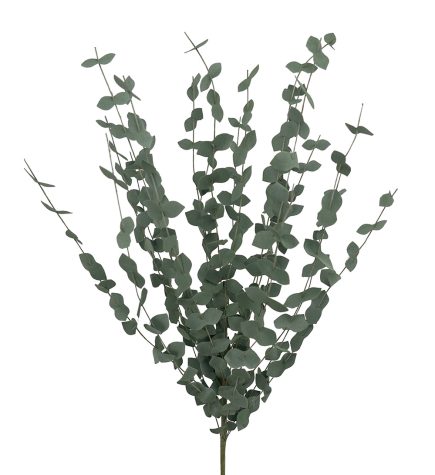 Foam Eucalyptus 70cm