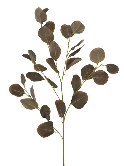 Silver Dollar Spray 90cm