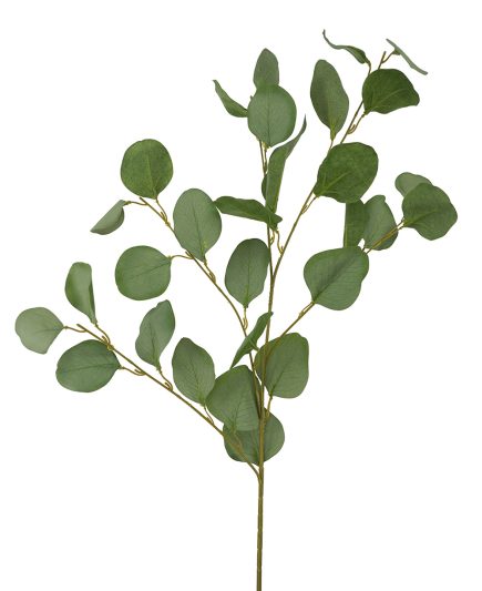 Silver Dollar Spray 90cm