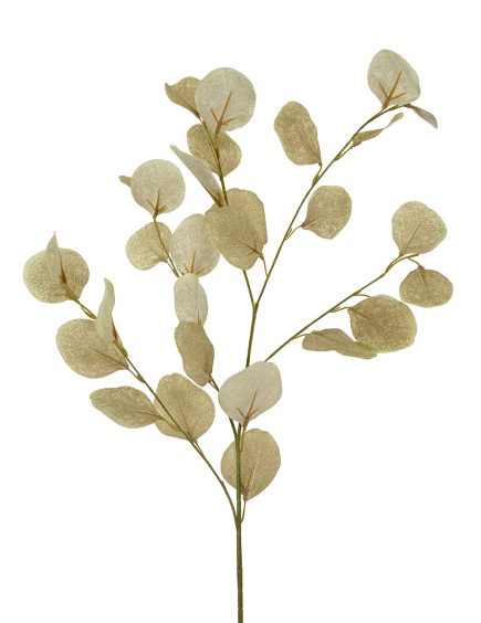 Silver Dollar Spray 90cm