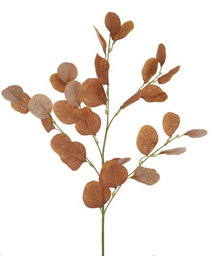 Silver Dollar Spray 90cm