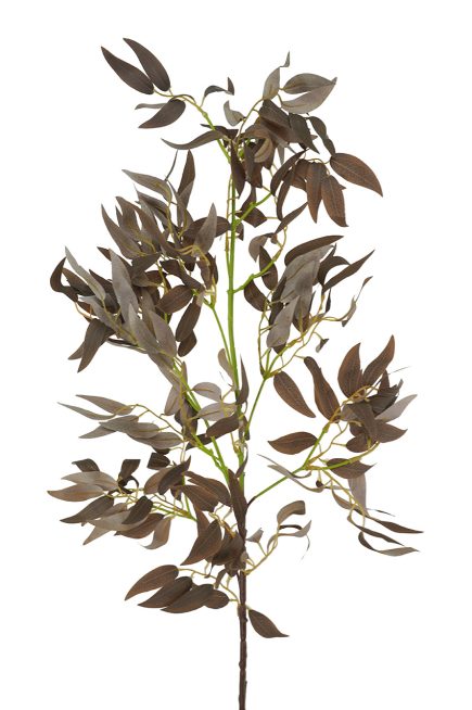 Ruscus Spray 100cm