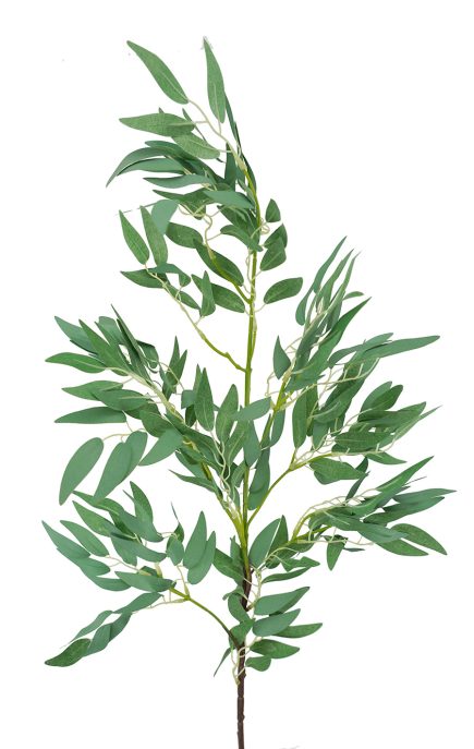 Ruscus Spray 100cm