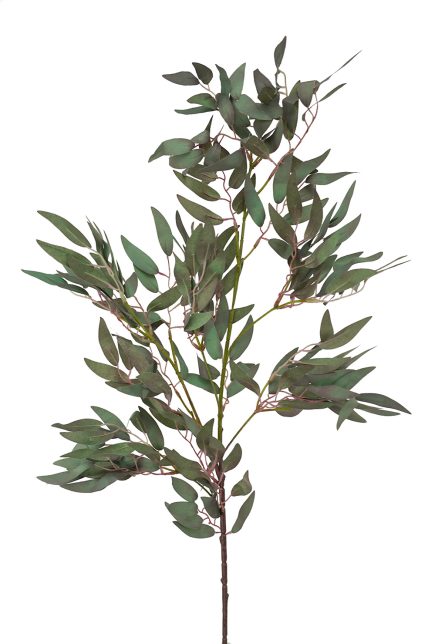 Ruscus Spray 100cm