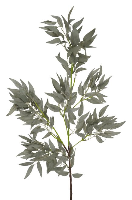 Ruscus Spray 100cm