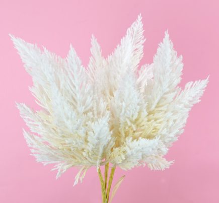 Pampas Bouquet 36cm