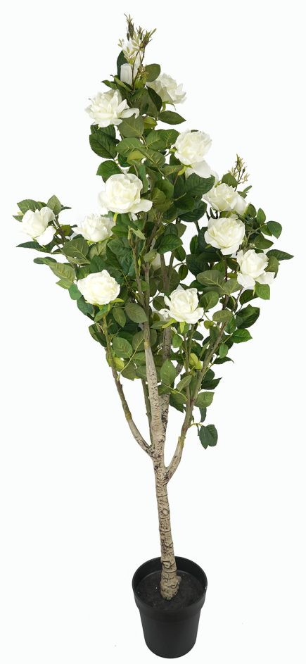Potted Rose Tree 156cm