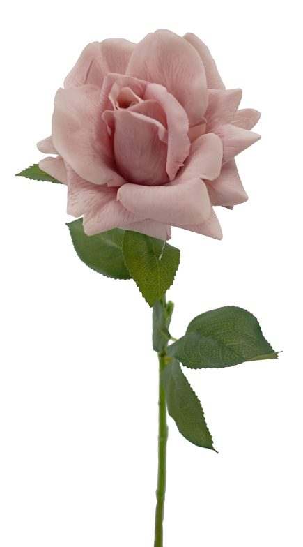 Real Touch Ecuador Rose 73cm