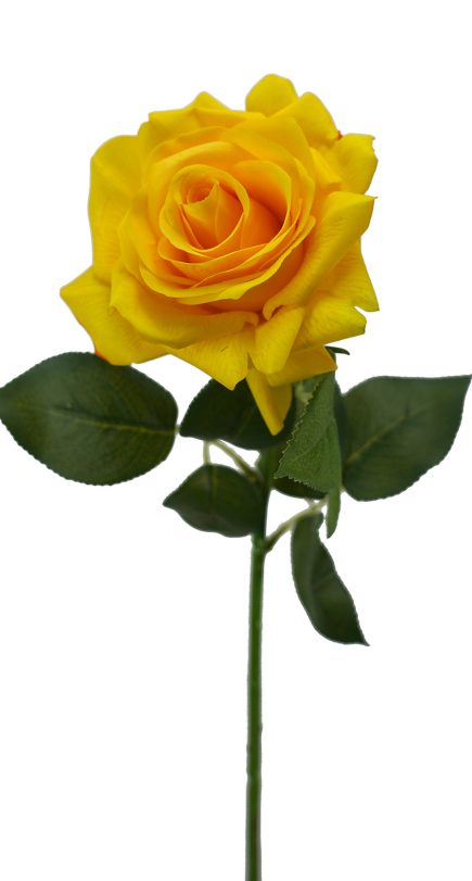 RT Full Rose Stem 69cm