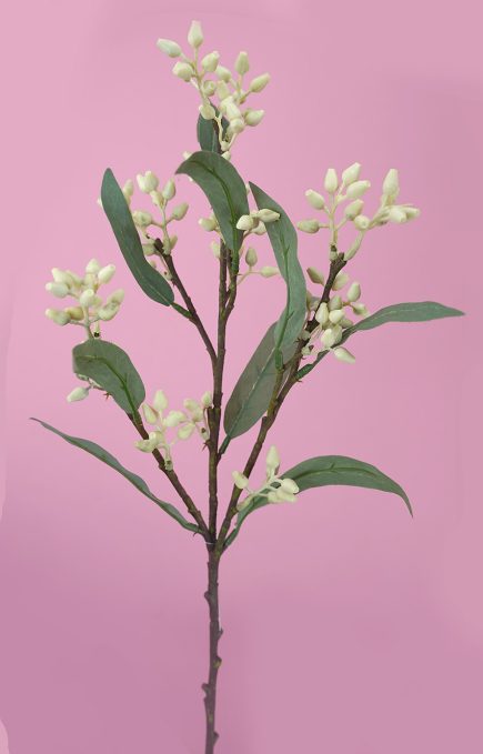 Eucalyptus Spray w/Buds 53cm