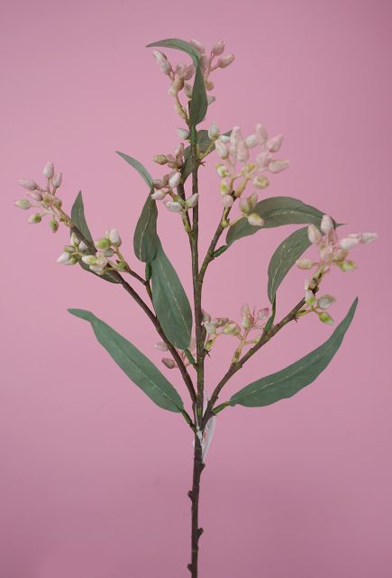 Eucalyptus Spray w/Buds 53cm