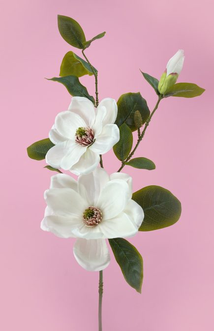 2H Magnolia Spray 84cm
