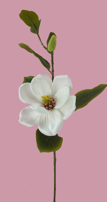 Magnalia Spray W/Bud 65cm