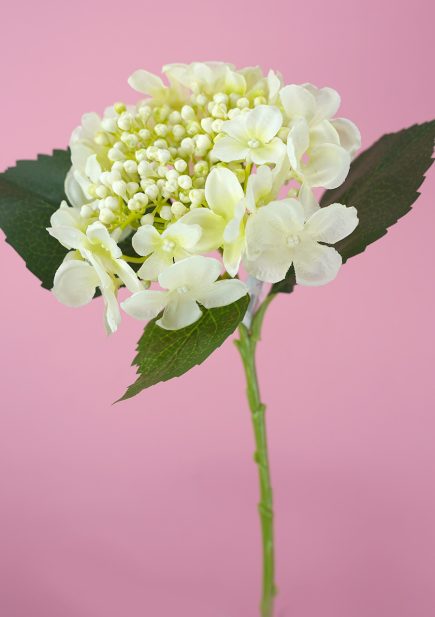 Budding Hydrangea Stem  45cm