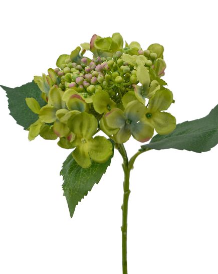 Budding Hydrangea Stem  45cm