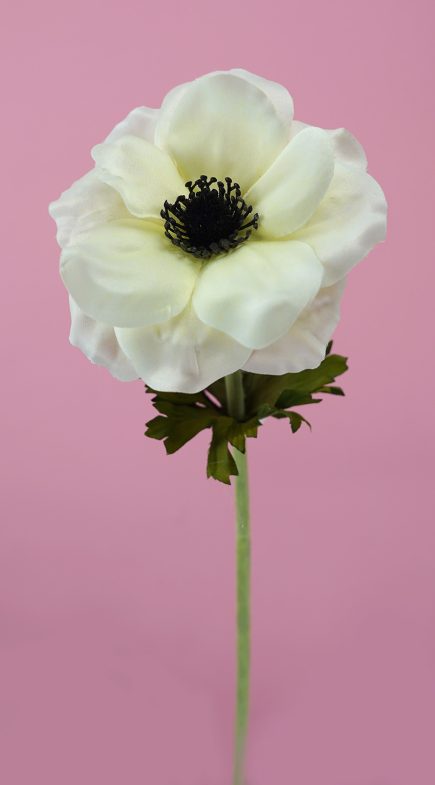 Anemone Stem 53cm