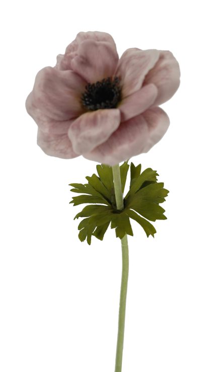 Anemone Stem 53cm