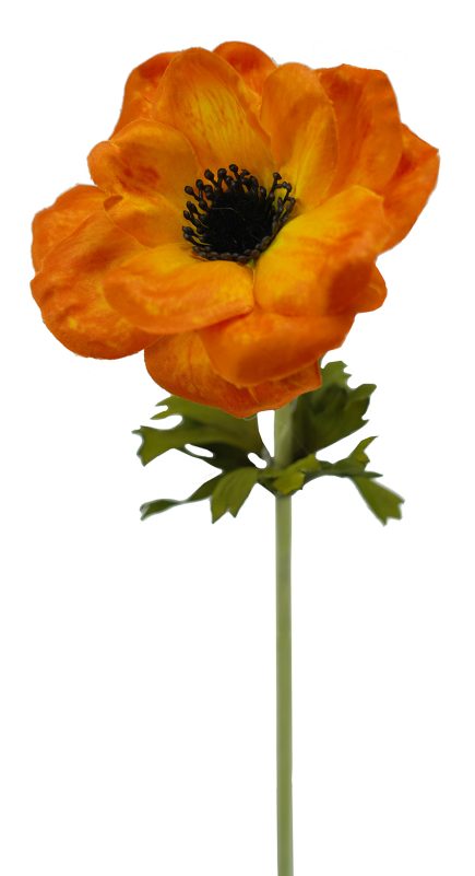 Anemone Stem 53cm