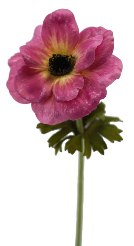 Anemone Stem 53cm
