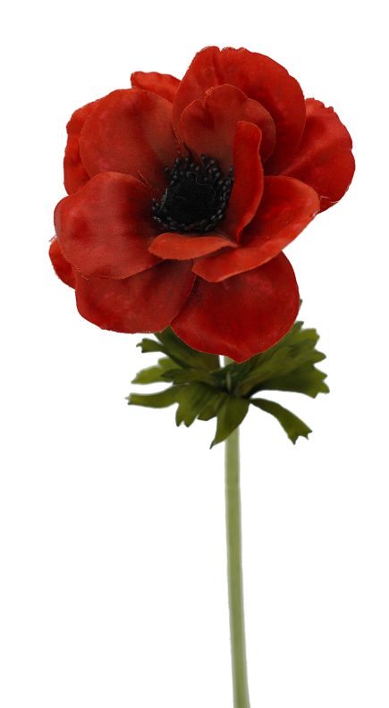 Anemone Stem 53cm
